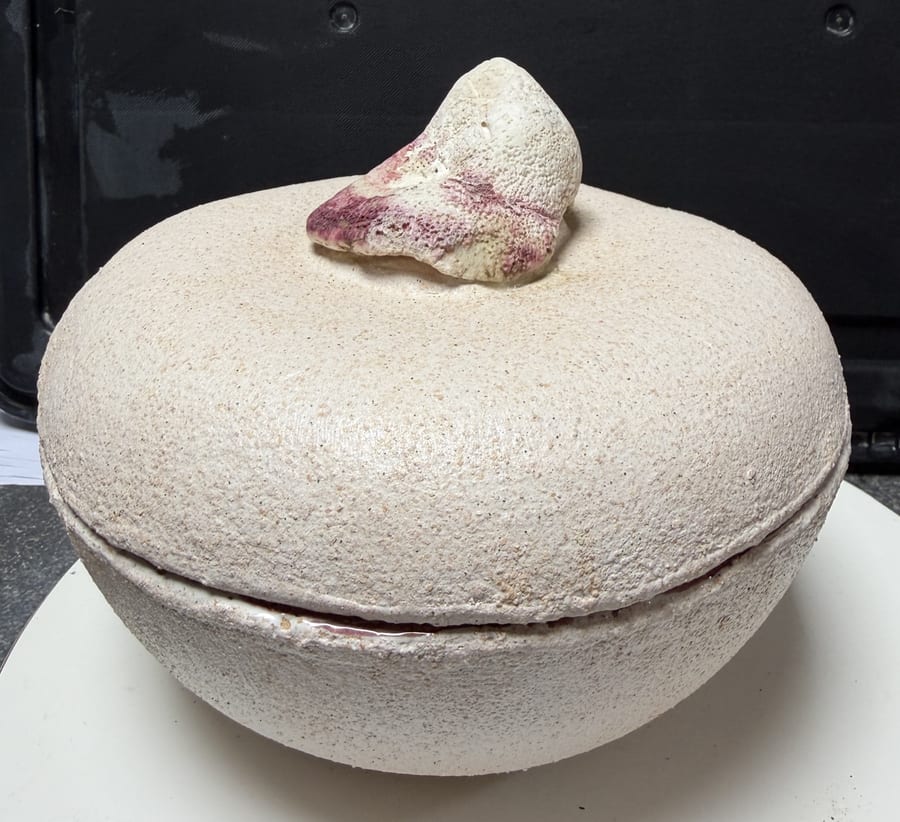 Keramiek "Ronde Pot met Deksel en Schelp" door Marianne — Kunstcollectief Zaalberg