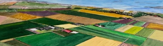 Schilderij "Flevoland Landschap" door Marianne — Kunstcollectief Zaalberg